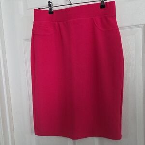 Maze Hot Pink  Pencil Skirt NWOT L